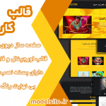 قالب وردپرس و سایت آماده نمونه کار و پروژه و شخصی