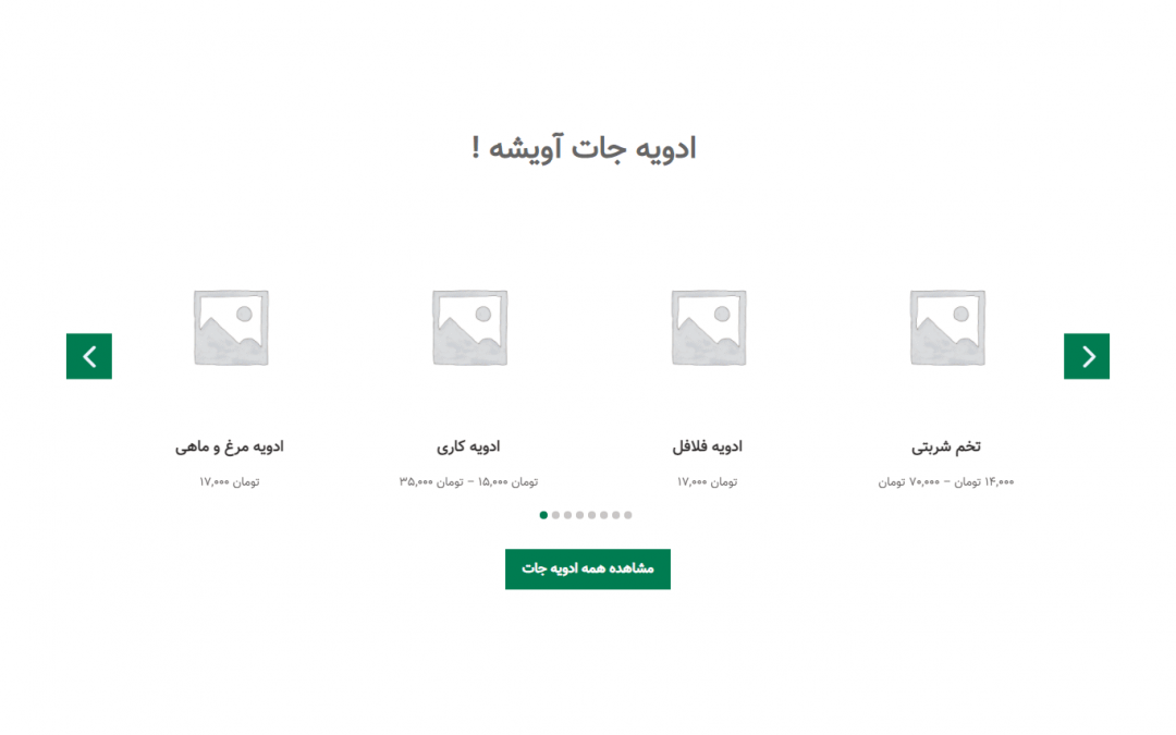 طراحی سایت فروشگاه اینترنتی