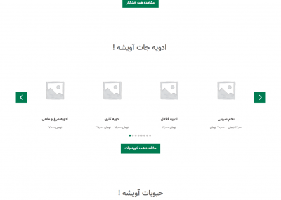 طراحی سایت فروشگاه اینترنتی