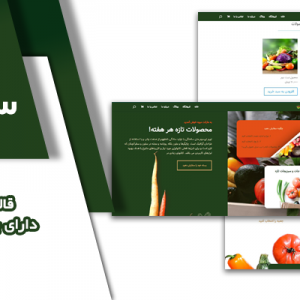 قالب وردپرس و سایت آماده فروشگاه میوه جات و سبزیجات